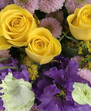 Imaginea produsului Echilibru Armonios