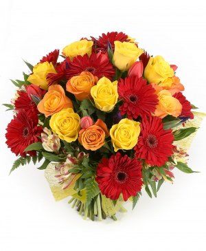 Imaginea produsului Abundență Coloristică Imaginea produsului Abundență Coloristică