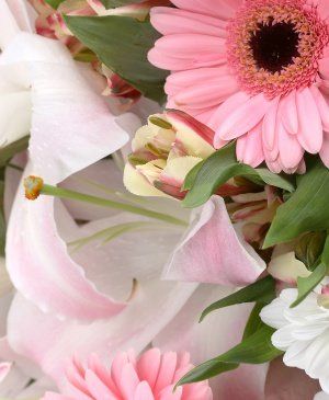 Imaginea produsului Selecție Clasică