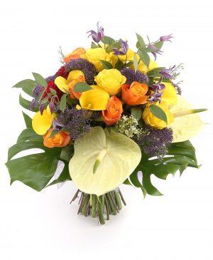 Imaginea produsului Primul Pas Imaginea produsului Primul Pas