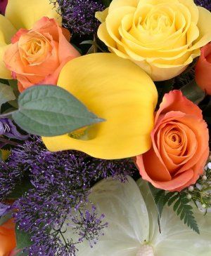 Imaginea produsului Primul Pas