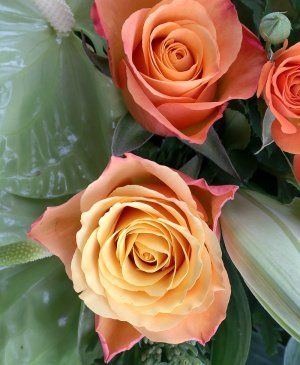 Imaginea produsului Un Gând Bun