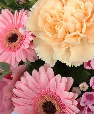 Imaginea produsului A înflorit O Melodie