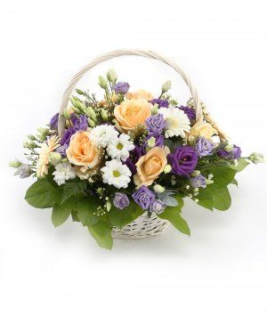 Imaginea produsului Coș Mlădios Imaginea produsului Coș Mlădios