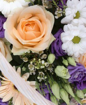 Imaginea produsului Coș Mlădios