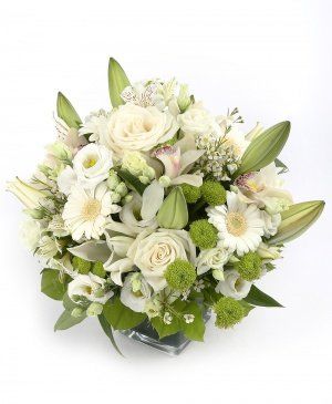 Imaginea produsului Plutim Prin Nori Imaginea produsului Plutim Prin Nori