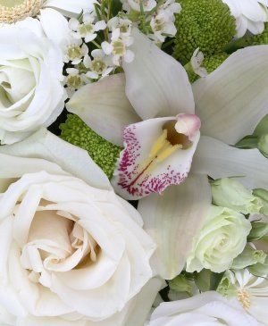 Imaginea produsului Plutim Prin Nori