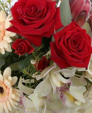 Imaginea produsului Galanterie Admirabilă