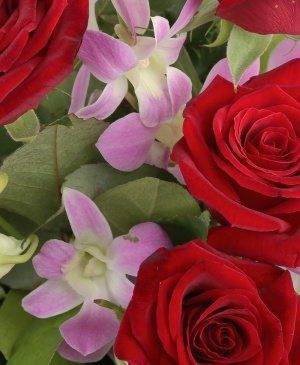 Imaginea produsului Suită Orientală