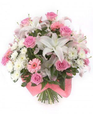 Imaginea produsului Nuanțe Rafinate Imaginea produsului Nuanțe Rafinate