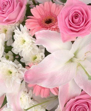 Imaginea produsului Nuanțe Rafinate