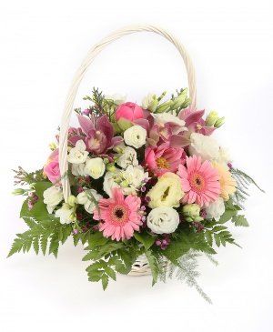 Imaginea produsului Bucuria Simțurilor Imaginea produsului Bucuria Simțurilor