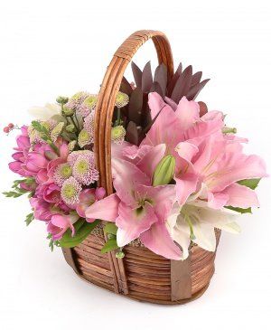 Imaginea produsului Afecțiune Gingașă Imaginea produsului Afecțiune Gingașă