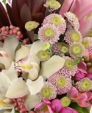 Imaginea produsului Afecțiune Gingașă