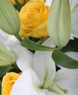 Imaginea produsului Raze împrăștiate