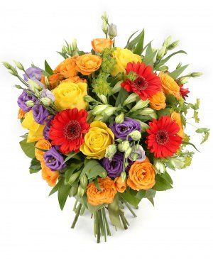 Imaginea produsului Exotic Arzător Imaginea produsului Exotic Arzător