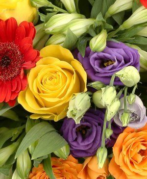 Imaginea produsului Exotic Arzător