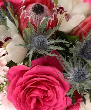 Imaginea produsului Esențe Exotice