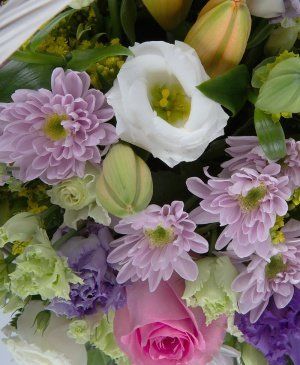 Imaginea produsului Imaginație De Moment