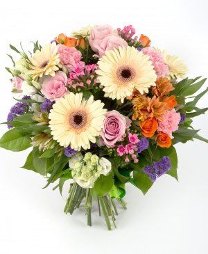 Imaginea produsului Fără îndoială Imaginea produsului Fără îndoială