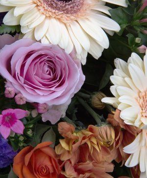 Imaginea produsului Fără îndoială