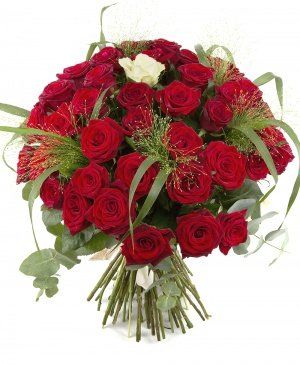 Imaginea produsului Insula Fericirii Imaginea produsului Insula Fericirii