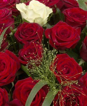 Imaginea produsului Insula Fericirii