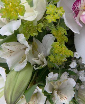 Imaginea produsului Alb Feeric