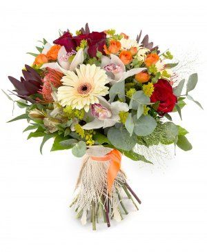 Imaginea produsului Surâs Afectuos Imaginea produsului Surâs Afectuos