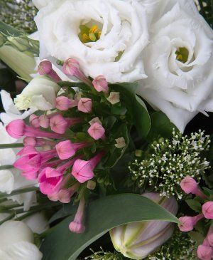 Imaginea produsului Efecte Speciale