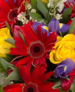 Imaginea produsului Frenezia Culorilor