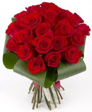 Imaginea produsului 25 Trandafiri Compacți Roșii Imaginea produsului 25 Trandafiri Compacți Roșii