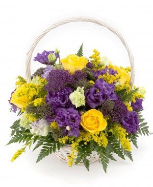 Imaginea produsului Intensitate Copleșitoare Imaginea produsului Intensitate Copleșitoare