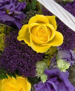 Imaginea produsului Intensitate Copleșitoare