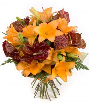 Imaginea produsului Topește Inimi Imaginea produsului Topește Inimi