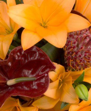 Imaginea produsului Topește Inimi