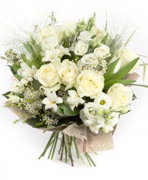 Imaginea produsului Lumină Blândă Imaginea produsului Lumină Blândă