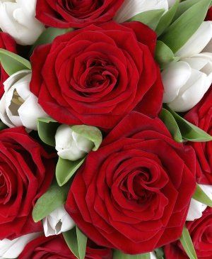 Imaginea produsului Simfonie In Roșu și Alb