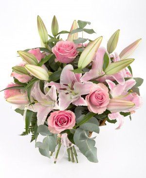 Imaginea produsului Privire Scumpă Imaginea produsului Privire Scumpă