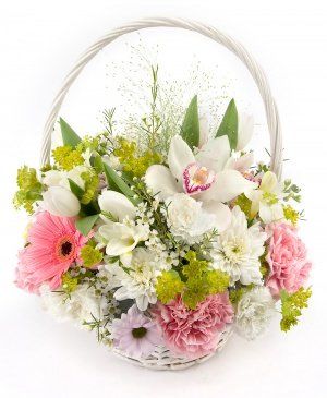 Imaginea produsului Delicat și Pur Imaginea produsului Delicat și Pur