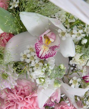 Imaginea produsului Delicat și Pur