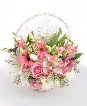 Imaginea produsului Rafinament și Eleganță Imaginea produsului Rafinament și Eleganță