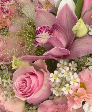 Imaginea produsului Rafinament și Eleganță