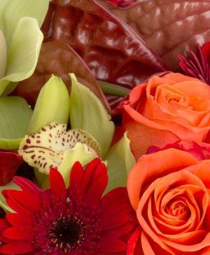 Imaginea produsului Cântecul Inimii