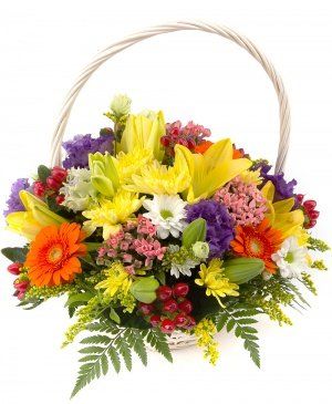 Imaginea produsului Coș ștrengar Imaginea produsului Coș ștrengar