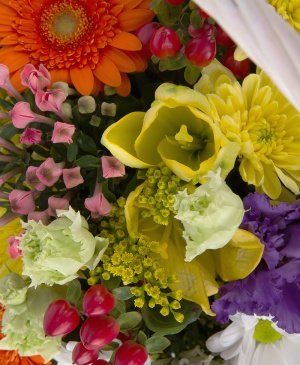 Imaginea produsului Coș ștrengar