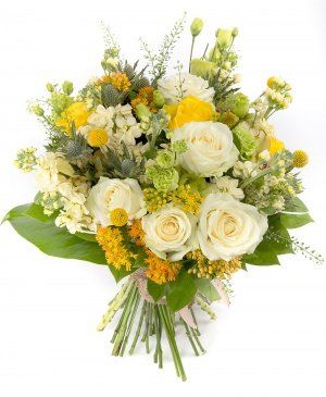 Imaginea produsului Zori De Zi In Poieniță Imaginea produsului Zori De Zi In Poieniță