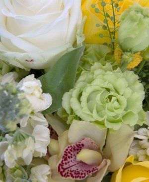 Imaginea produsului Zori De Zi In Poieniță