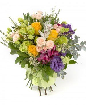 Imaginea produsului Veselie Expansivă Imaginea produsului Veselie Expansivă