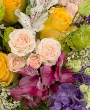 Imaginea produsului Veselie Expansivă